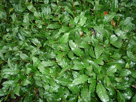 2010032413.jpg