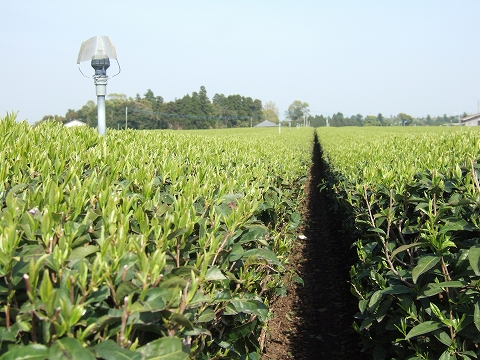 2010040307.jpg