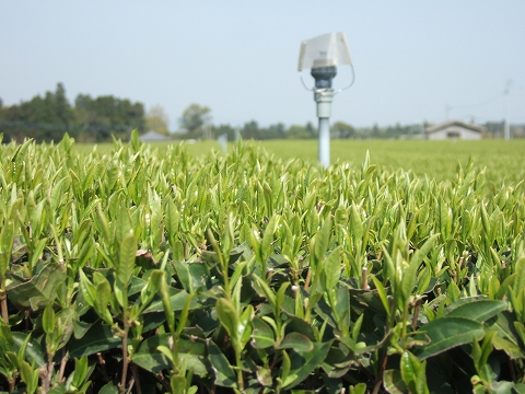 2010040308.jpg