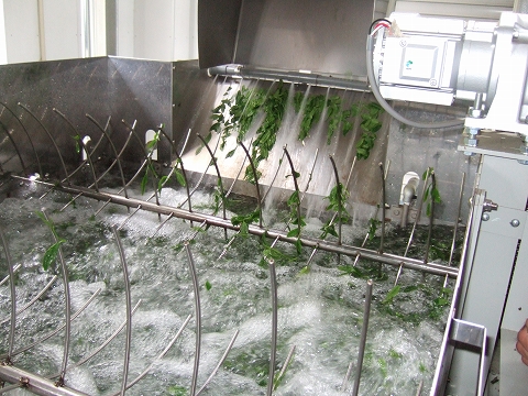 2010040406.jpg