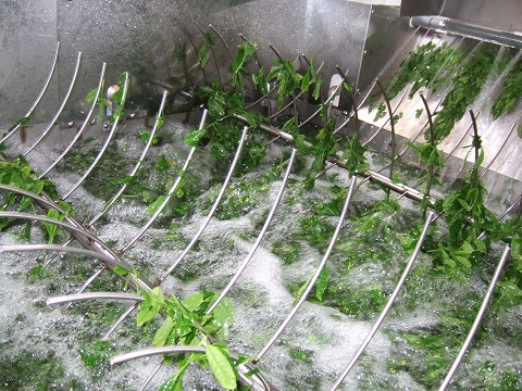 2010040407.jpg