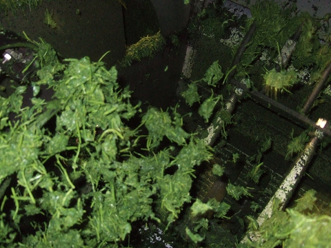 2010040412.jpg