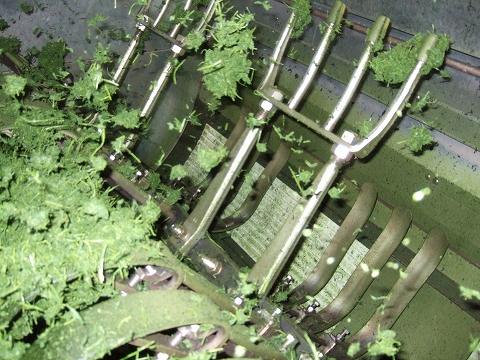 2010040413.jpg