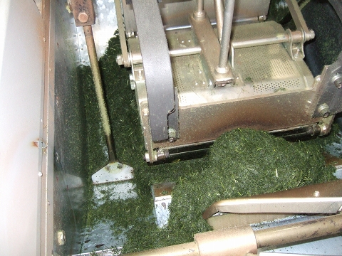 2010040504.jpg