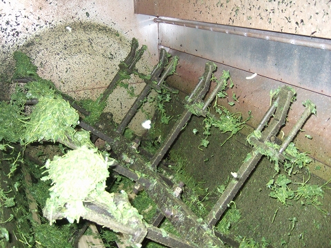 2010040506.jpg
