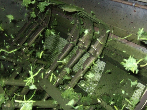 2010040507.jpg