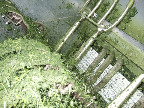 2010040508.jpg
