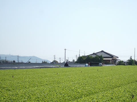 2010040601.jpg