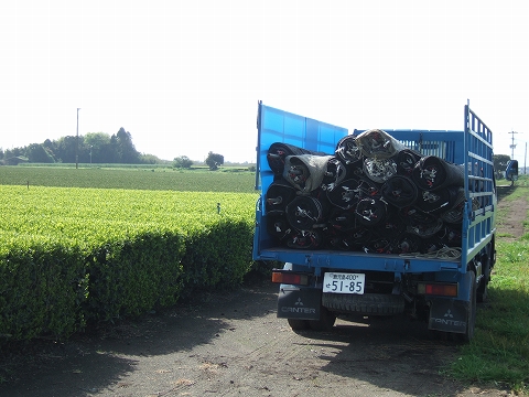2010040604.jpg