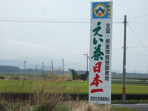 2010040711.jpg