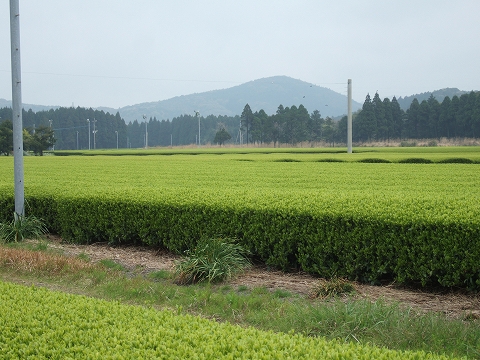 2010040713.jpg