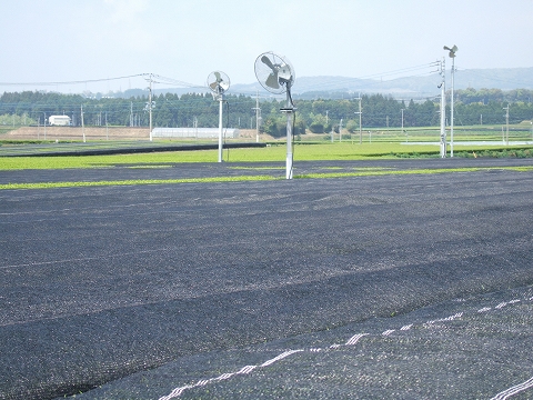 2010040714.jpg