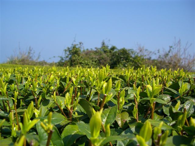 B_20070322_yutakaNo01.jpg