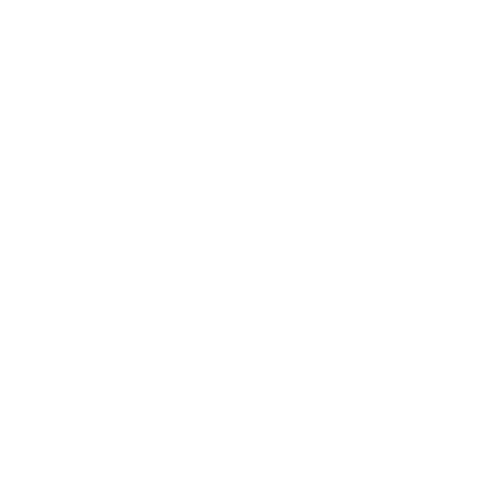 新着情報